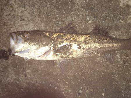 雨と風の中なんとか……