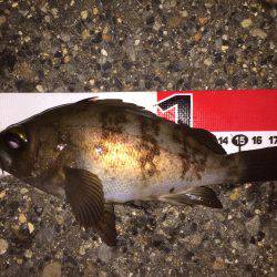 謎のビッグバイト？な、何だ…^^;