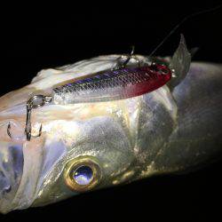 仕事終わりにチーバス