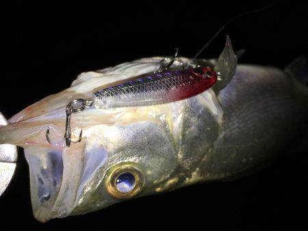 仕事終わりにチーバス