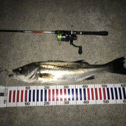 滞在時間20分で！！