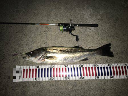 滞在時間20分で！！