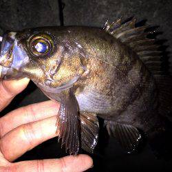 ３０分一本勝負！