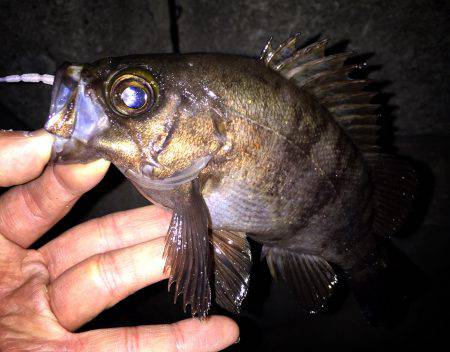 ３０分一本勝負！