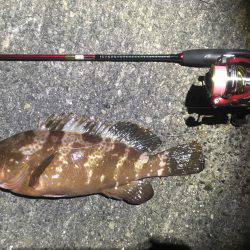 いましたよ、アイツが（≧∇≦）