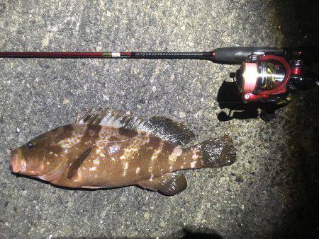 いましたよ、アイツが（≧∇≦）