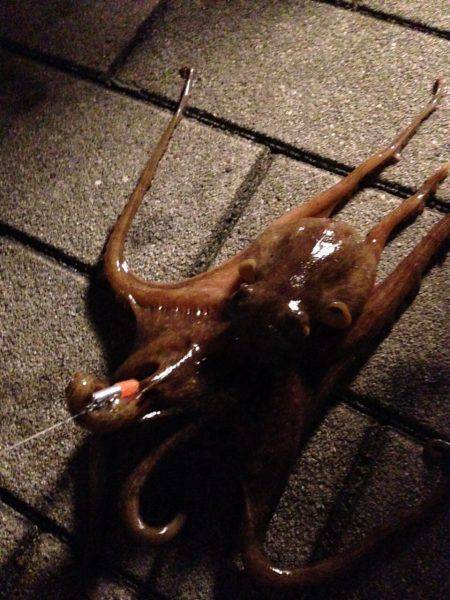 ガシリングでひたすらネチネチ