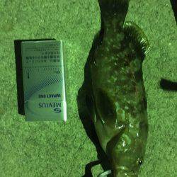 ロックフィッシュゲーム