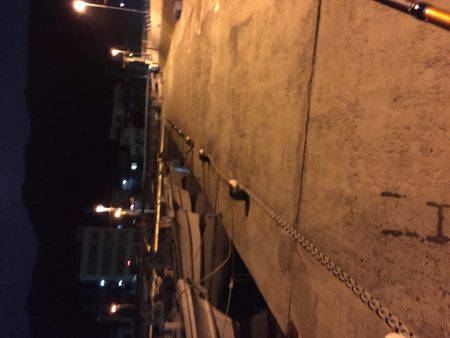 凄い人出の小島漁港でアジング