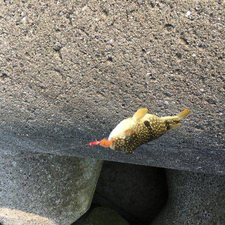 初めてのちょい投げ