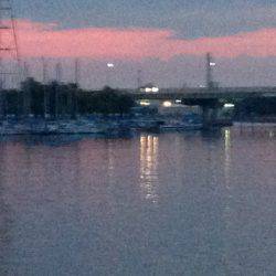 チビメバル連発！