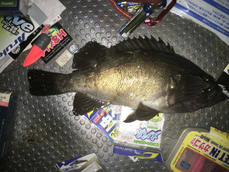 潮目の表層撃ち