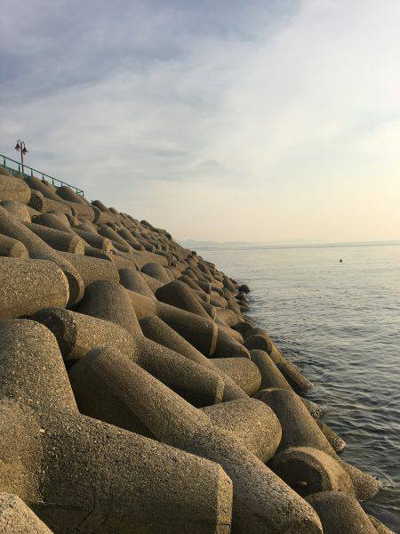 今日もメバメバ