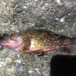 外道で終了です。