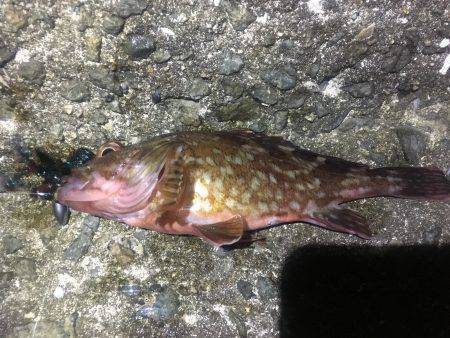 外道で終了です。