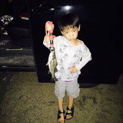 バチバチ大荒れバージョン