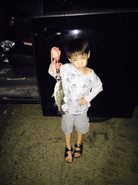 バチバチ大荒れバージョン