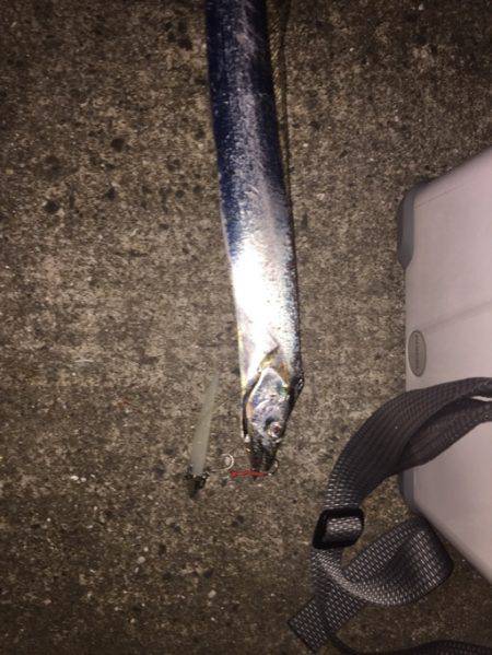 サイズダウン？