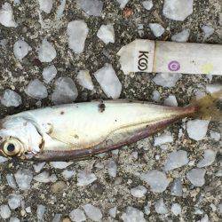 手応え抜群⁉️