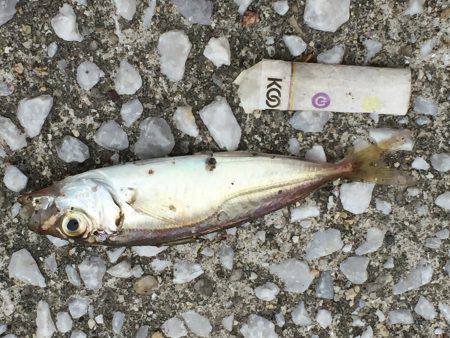 手応え抜群⁉️