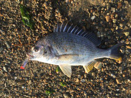 気持ちいい日曜日の朝