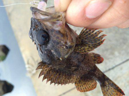 オンスの大会で