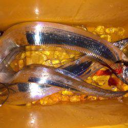 タチウオいいね〜