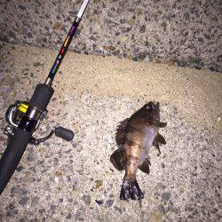 淡路島ランガン！