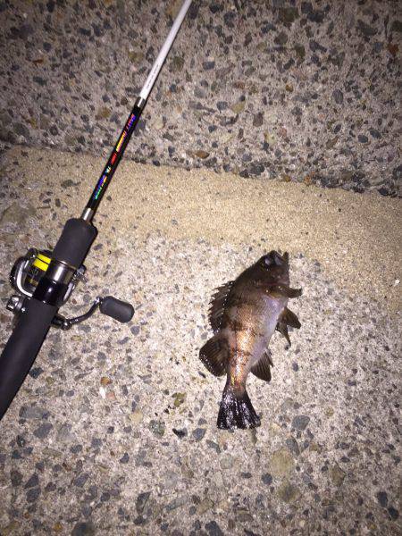 淡路島ランガン！