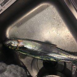 のんびりが一番！