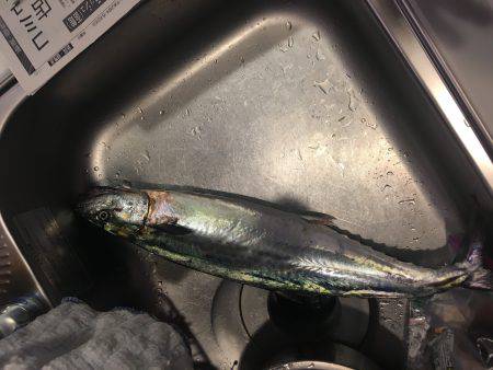 のんびりが一番！