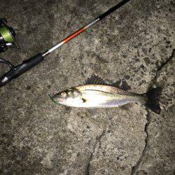 チーバスフラッターゲーム