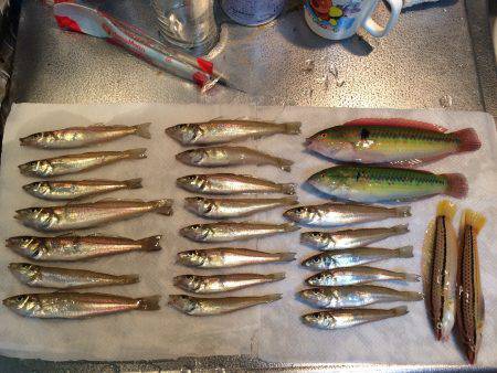 酒のアテくらいには、、、