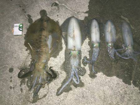 久しぶりに爆烈