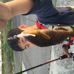 ロックフィッシュ