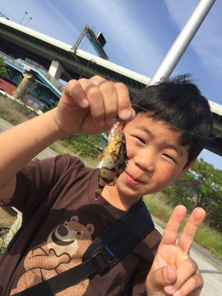 ロックフィッシュ