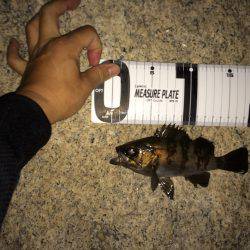 フロートandプラッキング