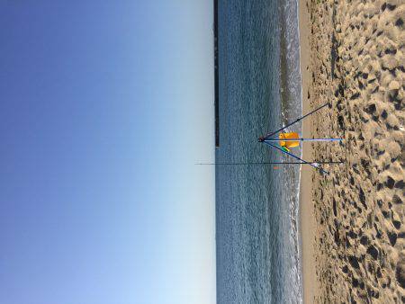 強風の中でちょい投げなど