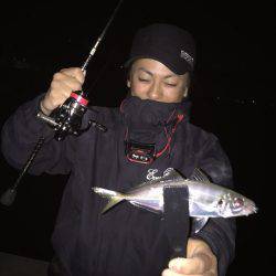 淡路島アジング