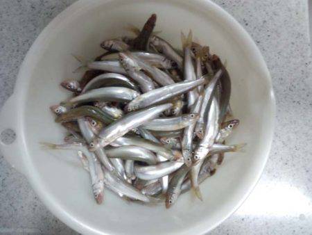 大阪のど真ん中で、アユ釣りをする。