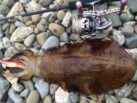 １投目に・・・