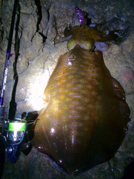 夕マズメ一発！