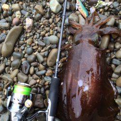 キロ足りナーズ