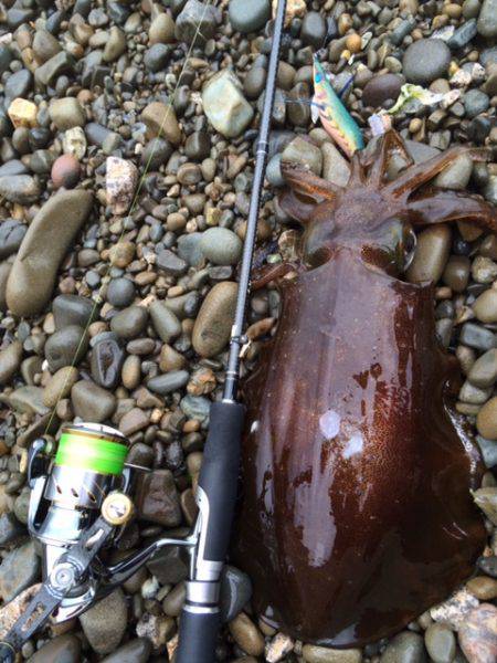 キロ足りナーズ