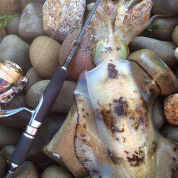 またまたキロ足りナーズ