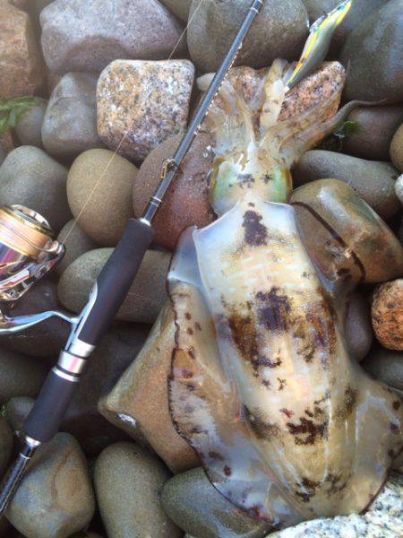 またまたキロ足りナーズ