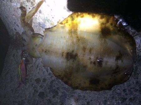 激流の中・・・