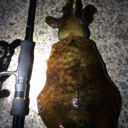 ２投目で・・・その後・・・