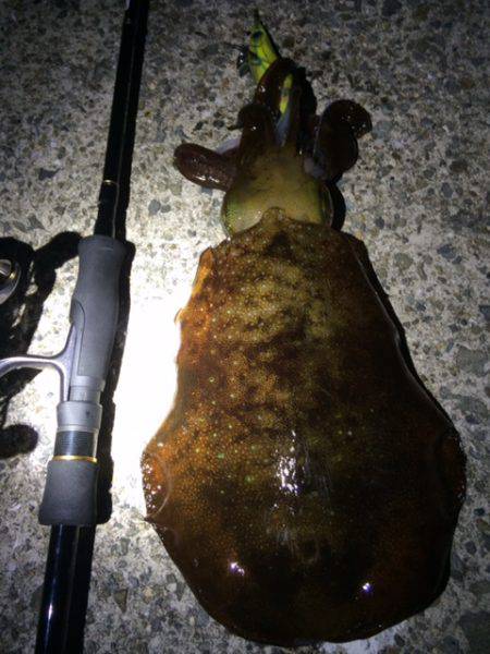 ２投目で・・・その後・・・