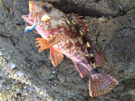 エソガシーなぁ～～～